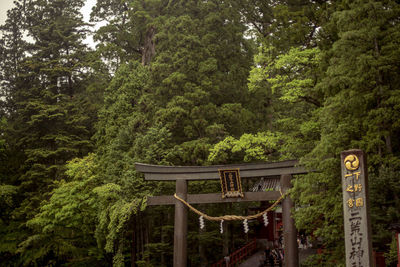 Gazebo in park against trees in forest