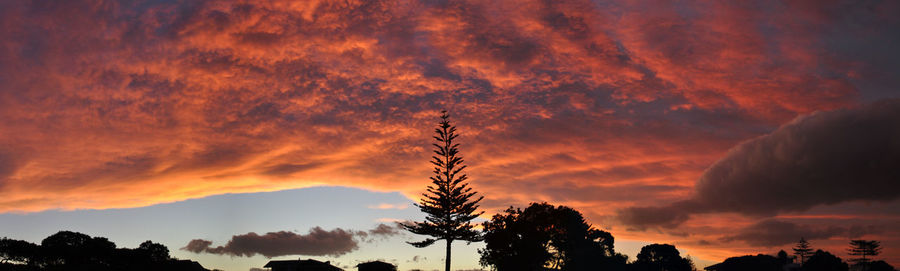 Low angle view of silhouette trees against dramatic sky