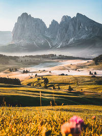 Scenic view of field by mountains against sky