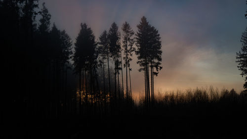 Scenic view of forest against sky at sunset