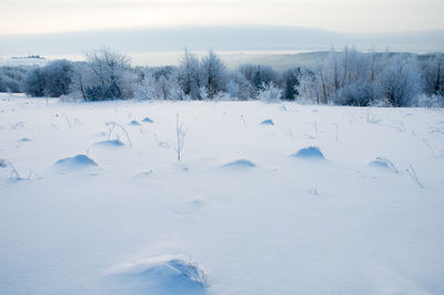 Beautiful winter landscapes in the valleys