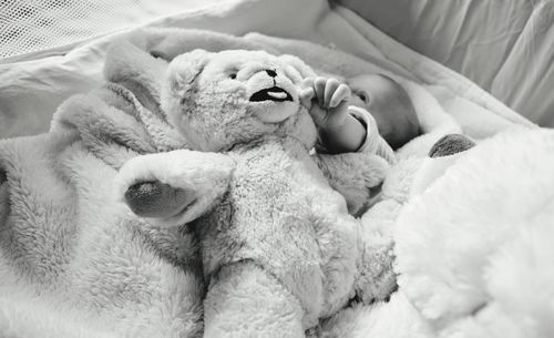 High angle view of teddy bear on baby lying in bed
