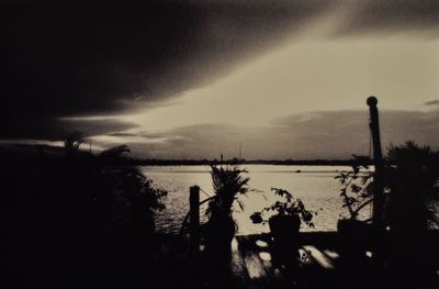 Silhouette of people on beach