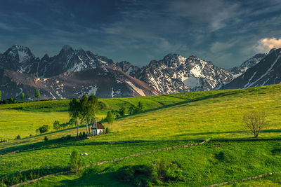 Scenic view of field and mountains against sky