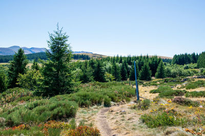 Scenic view of landscape against clear sky