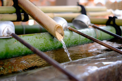 Bamboo dippers in pond