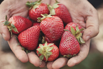 Cropped hands showing strawberries