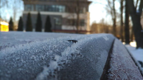 Close-up of snow on retaining wall in city