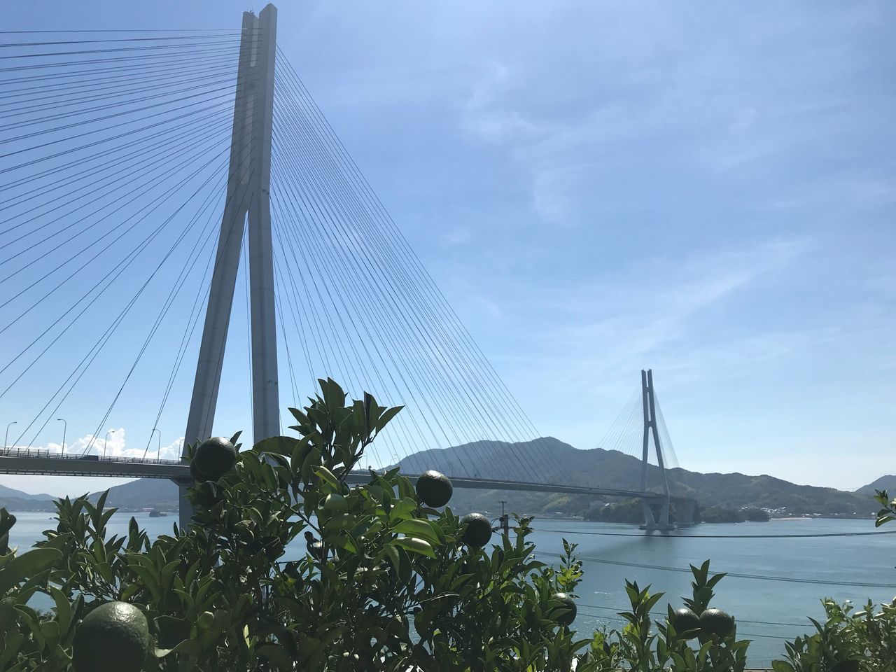 sky, suspension bridge, bridge, nature, bridge - man made structure, cloud - sky, plant, water, built structure, connection, transportation, no people, day, travel destinations, architecture, beauty in nature, mountain, travel, outdoors, bay