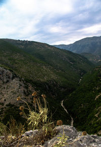 Scenic view of landscape against sky