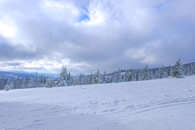 Snow covered land against sky