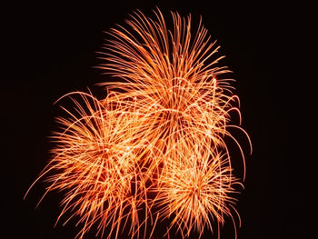 Low angle view of firework display against sky at night