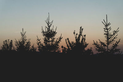 Silhouette plants on field against sky during sunset