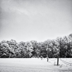 Trees on field against clear sky during winter