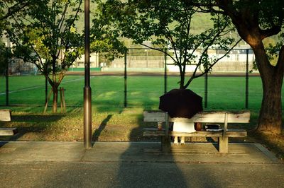 Bench in park