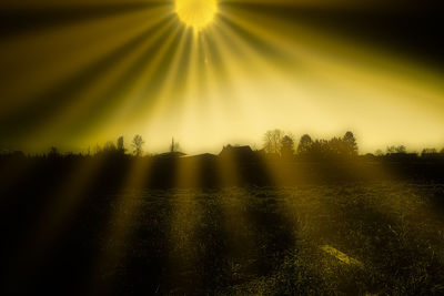 Silhouette trees on field against sky at sunset