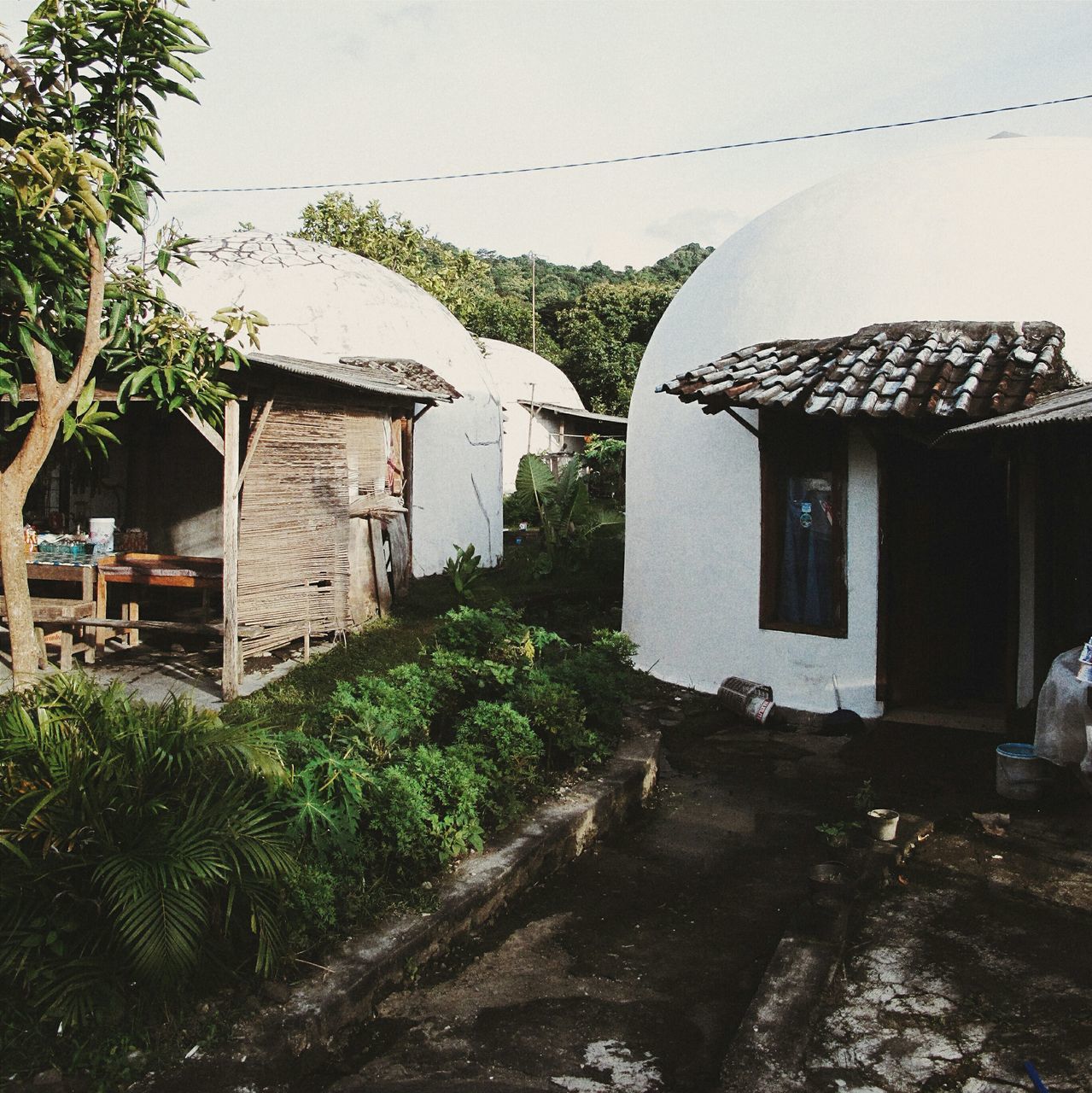 architecture, built structure, building exterior, house, residential structure, residential building, clear sky, plant, tree, sky, day, building, village, outdoors, old, the way forward, roof, abandoned, no people, street