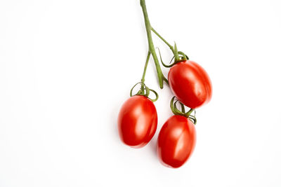 Close-up of tomatoes against white background