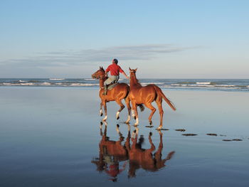 Man riding on horses at beach against sky