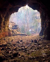 Rock formations in forest