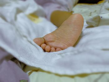 Close-up of hand holding leaf on bed