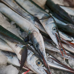 Close-up of fish for sale in market