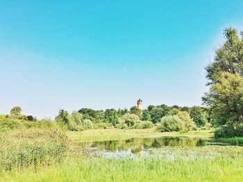 Scenic view of agricultural field against clear sky