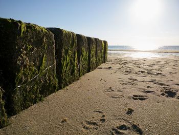 Scenic view of beach against clear sky