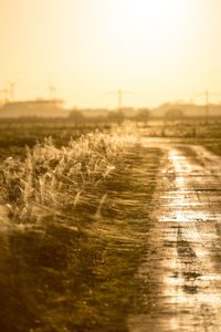 Road amidst field against clear sky during sunset