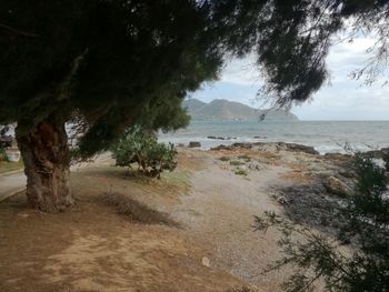 Scenic view of beach against sky