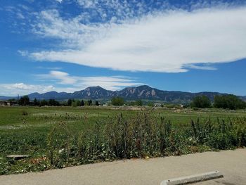 Scenic view of field against sky