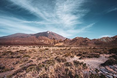 Scenic view of landscape and mountains against blue sky