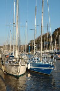 Sailboats moored in harbor