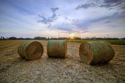 Hay bales on field