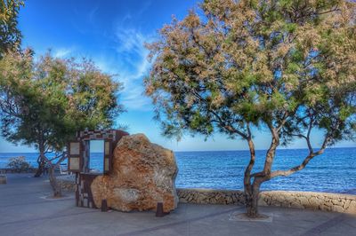 Tree by sea against sky