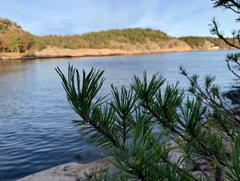 Scenic view of lake against sky