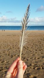 Close-up of hand holding sand at beach against sky