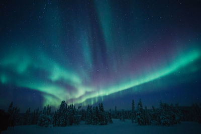 Scenic view of star field against sky at night