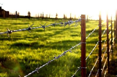 Close-up of chainlink fence on field