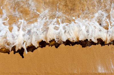 Close-up of wave splashing on shore