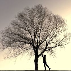 Low angle view of bare trees against sky