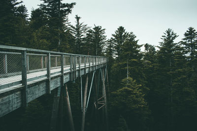 Bridge in forest against sky