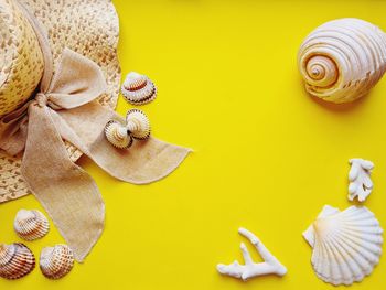 High angle view of shells on table