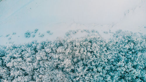 Aerial view of beach in winter