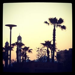 Low angle view of silhouette palm trees against sky at sunset