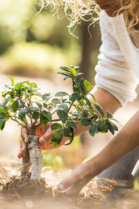 Close-up of hand holding plant