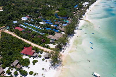 High angle view of trees by swimming pool in city