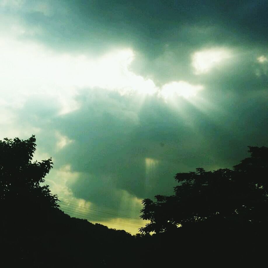 sky, tree, silhouette, cloud - sky, beauty in nature, low angle view, tranquility, scenics, tranquil scene, cloudy, nature, sunbeam, sun, cloud, sunlight, weather, idyllic, outdoors, no people, overcast