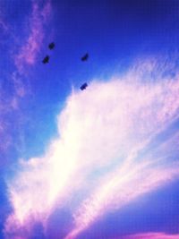 Low angle view of bird flying against blue sky