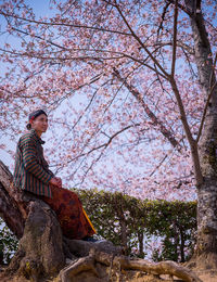 Man sitting on cherry blossom tree